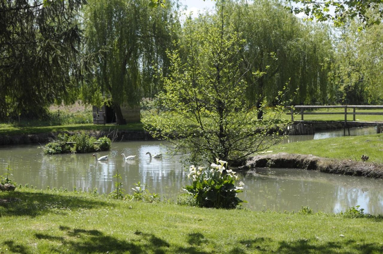 Domaine Ramonjavel, Glamping & Alpaca'S Bed & Breakfast Fongrave Exterior photo