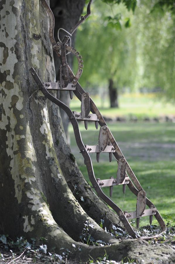 Domaine Ramonjavel, Glamping & Alpaca'S Bed & Breakfast Fongrave Exterior photo