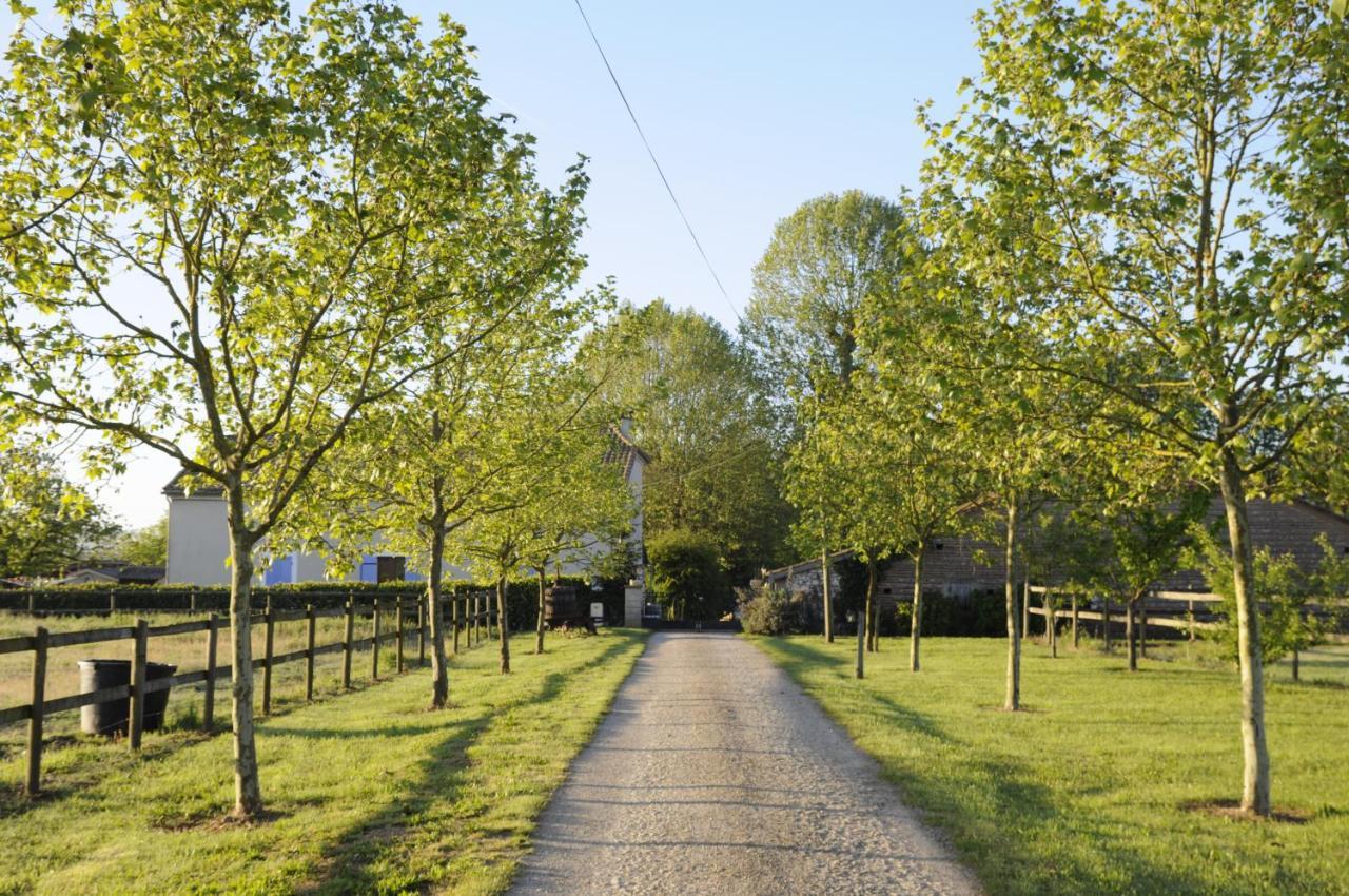 Domaine Ramonjavel, Glamping & Alpaca'S Bed & Breakfast Fongrave Exterior photo