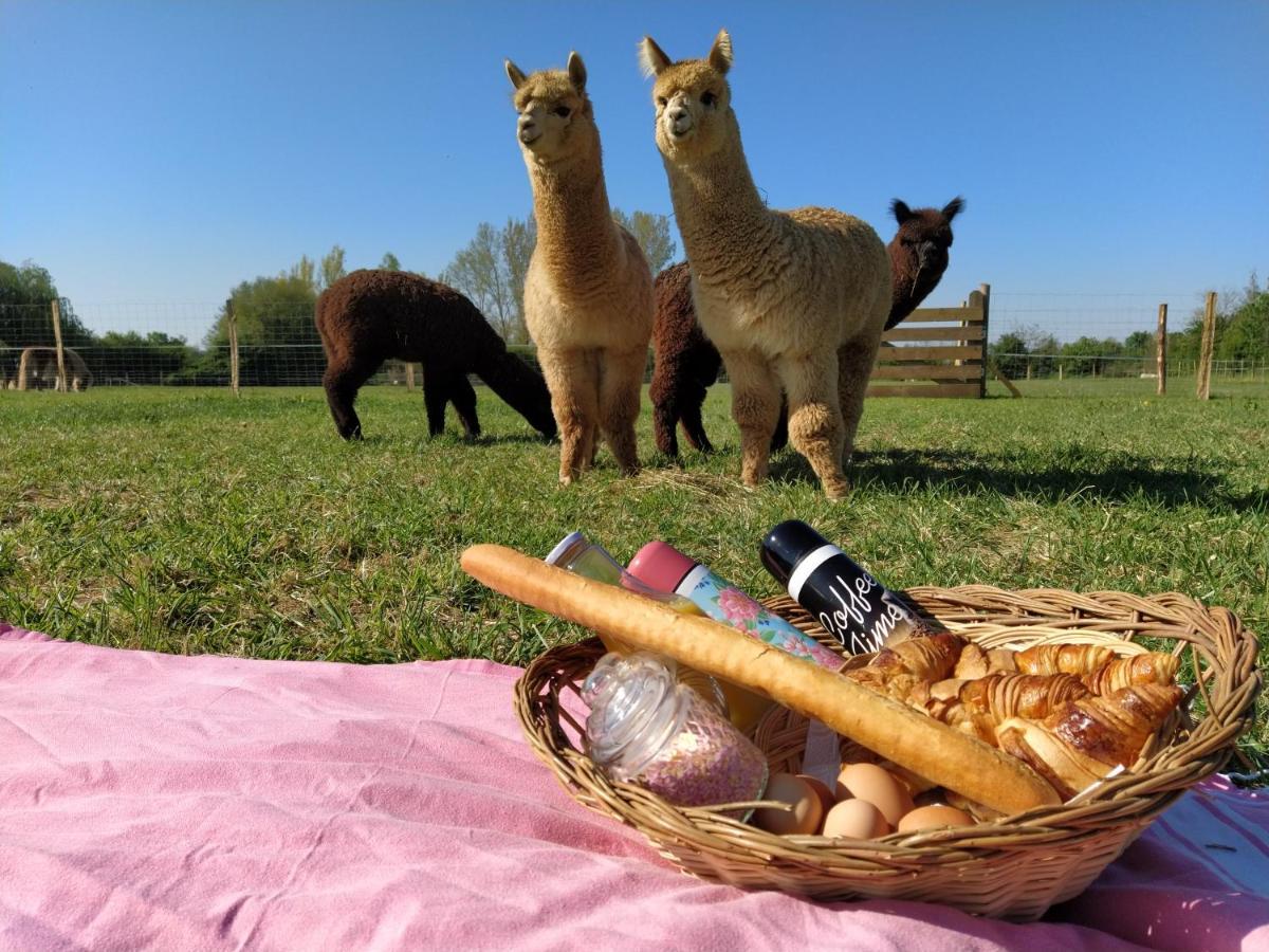 Domaine Ramonjavel, Glamping & Alpaca'S Bed & Breakfast Fongrave Exterior photo