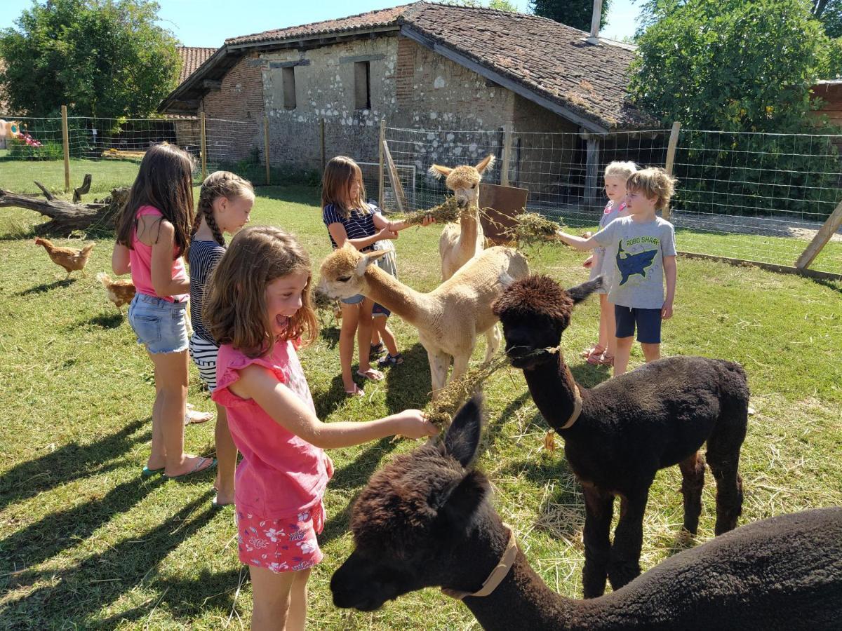 Domaine Ramonjavel, Glamping & Alpaca'S Bed & Breakfast Fongrave Exterior photo